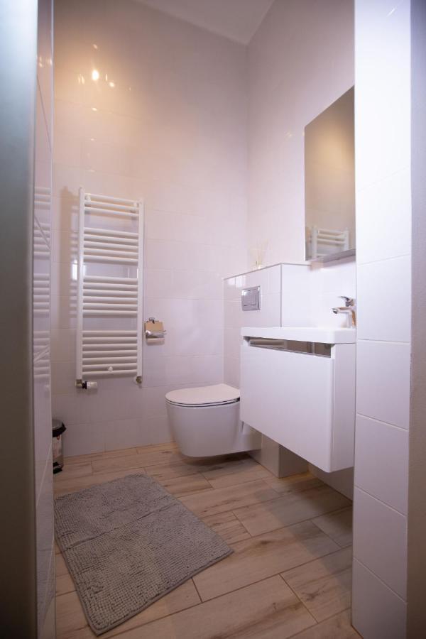 Apartment Alessia In The Old Town Timişoara